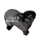 プチをさんとその仲間（個別スタンプ：21）