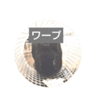 プチをさんとその仲間（個別スタンプ：26）
