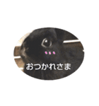 プチをさんとその仲間（個別スタンプ：27）