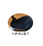 プチをさんとその仲間（個別スタンプ：28）