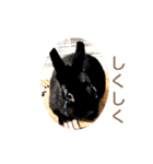 プチをさんとその仲間（個別スタンプ：30）