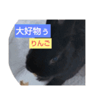 プチをさんとその仲間（個別スタンプ：36）