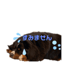 愉快な8282 Z＆G（個別スタンプ：6）
