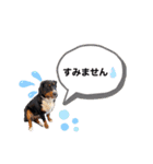 愉快な8282 Z＆G（個別スタンプ：15）