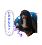 愉快な8282 Z＆G（個別スタンプ：18）