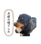 愉快な8282 Z＆G（個別スタンプ：31）