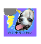 イザベラフォーンのベルのスタンプ（個別スタンプ：2）