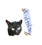 なんとなく使えるかも知れないスタンプ達（個別スタンプ：7）