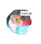 ハムスターのまり(2)（個別スタンプ：2）
