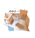 ハムスターのまり(2)（個別スタンプ：5）