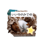 ハムスターのまり(2)（個別スタンプ：8）