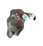 みるちゃん＆ゆーねこスタンプ（個別スタンプ：1）