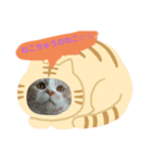 みるちゃん＆ゆーねこスタンプ（個別スタンプ：3）