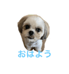 いっくんのわくわくスタンプ（個別スタンプ：1）