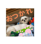 いっくんのわくわくスタンプ（個別スタンプ：5）