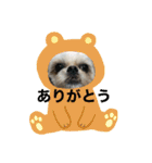 いっくんのわくわくスタンプ（個別スタンプ：6）