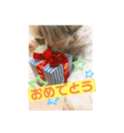 いっくんのわくわくスタンプ（個別スタンプ：7）