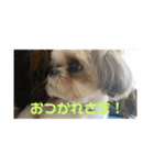 いっくんのわくわくスタンプ（個別スタンプ：11）