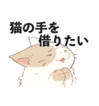 ダイエットねこくん（個別スタンプ：1）