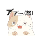 ダイエットねこくん（個別スタンプ：13）