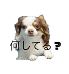 きんきーん（個別スタンプ：1）