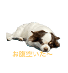 きんきーん（個別スタンプ：2）