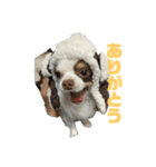 きんきーん（個別スタンプ：7）
