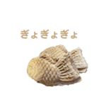 石田が使うやつ。まる3（個別スタンプ：39）
