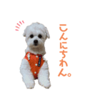 モカとララです。（個別スタンプ：1）