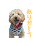 モカとララです。（個別スタンプ：3）