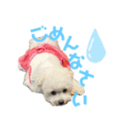 モカとララです。（個別スタンプ：4）