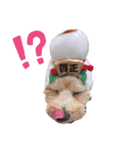 モカとララです。（個別スタンプ：6）