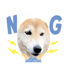 愛犬ちゃっぷくん！！（個別スタンプ：4）