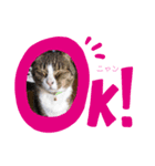 みーとろだいすき（個別スタンプ：2）