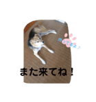 H0101（個別スタンプ：6）