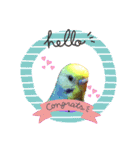 愛しのインコ ver.1（個別スタンプ：7）