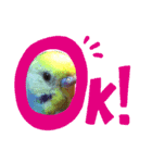 愛しのインコ ver.1（個別スタンプ：8）