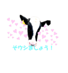 牛過ぎるスタンプ byAnna（個別スタンプ：10）