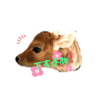 牛過ぎるスタンプ byAnna（個別スタンプ：11）