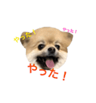ラニアンです。（個別スタンプ：4）