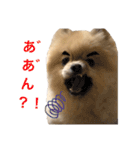 ラニアンです。（個別スタンプ：8）