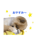 ラニアンです。（個別スタンプ：9）