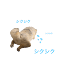 ラニアンです。（個別スタンプ：22）