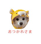 リロ＆チョココ（個別スタンプ：7）