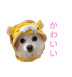 リロ＆チョココ（個別スタンプ：16）