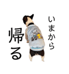 リロ＆チョココ（個別スタンプ：35）