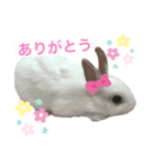 うさぎのルナ 2（個別スタンプ：2）