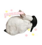 うさぎのルナ 2（個別スタンプ：5）