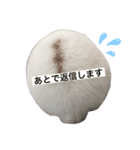 うさぎのルナ 2（個別スタンプ：7）