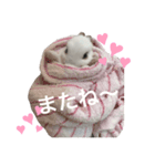 うさぎのルナ 2（個別スタンプ：8）